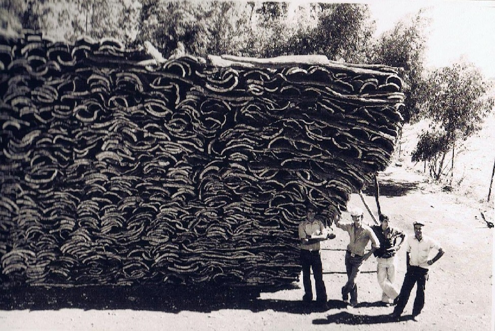 Planchas de corchos apiladas en Jimena. Fuente: Ediciones OBA